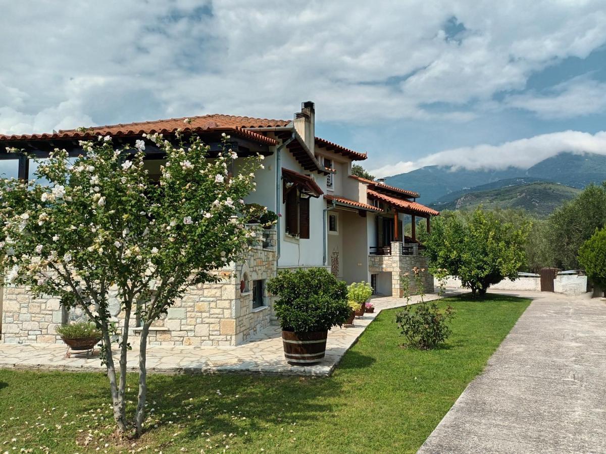 Zenia Pelion Garden House Platanidia Exterior foto